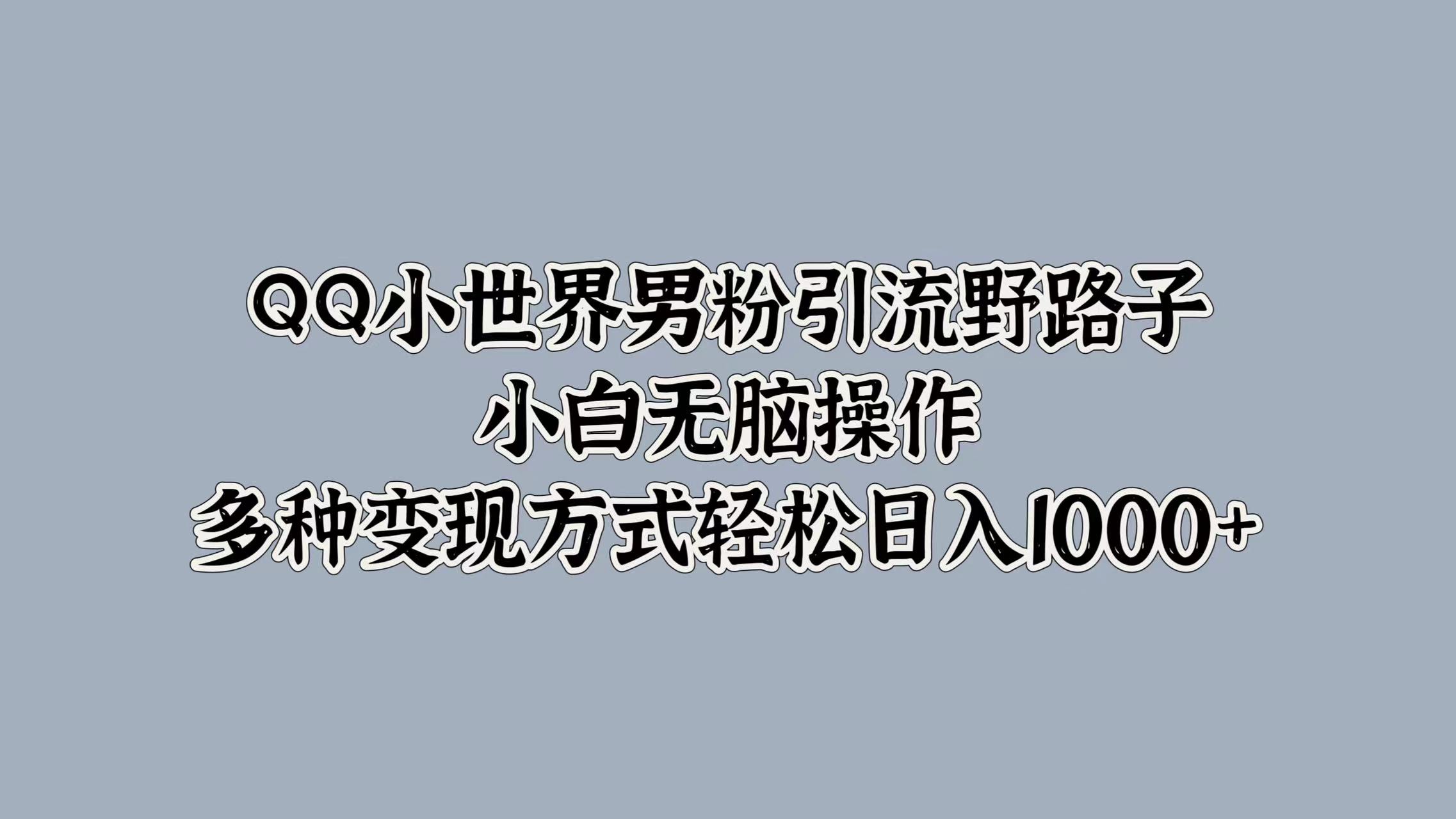 QQ小世界男粉引流野路子，小白无脑操作，多种变现方式-赚钱网