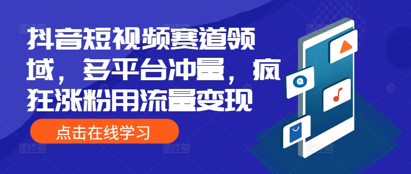 抖音短视频赛道领域，多平台冲量，疯狂涨粉用流量变现-赚钱网