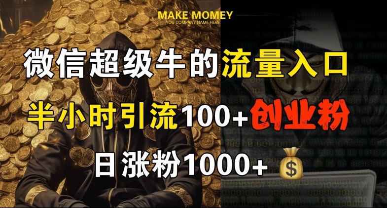 微信超级牛的流量入口，半小时引流100+创业粉，日涨粉1000+-赚钱网