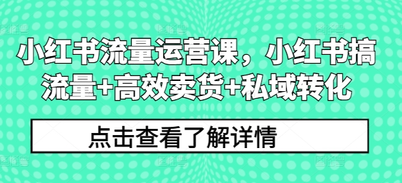 小红书流量运营课，小红书搞流量+高效卖货+私域转化-赚钱网