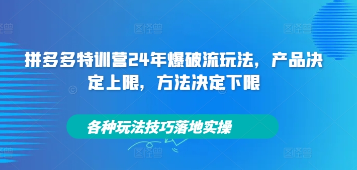 拼多多特训营24年爆破流玩法，产品决定上限，方法决定下限，各种玩法技巧落地实操-赚钱网