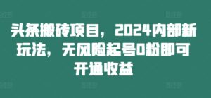 头条搬砖项目，2024内部新玩法，无风险起号0粉即可开通收益-赚钱网