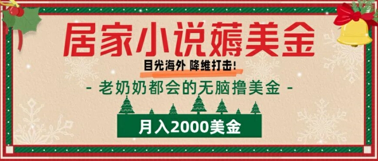 居家小说薅美金，拆解海外撸美金项目月入2000美刀详细指导-赚钱网