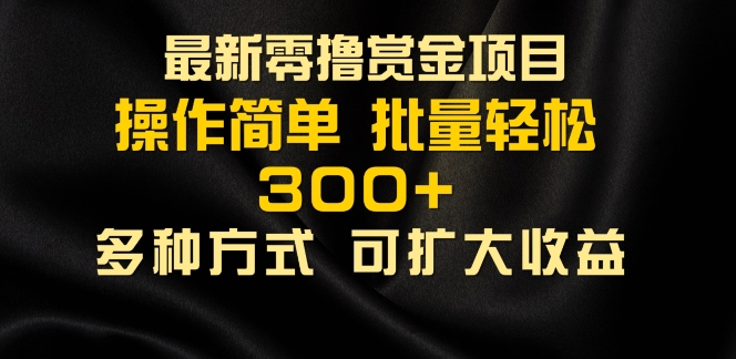 2024最新零撸赏金项目，无需养机，直接上手操作 ，单机收益30+，适合批量放大-赚钱网