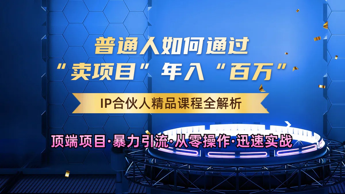 2024年如何通过知识付费“卖项目”年入“百W”，卖项目合伙人IP孵化训练营-赚钱网