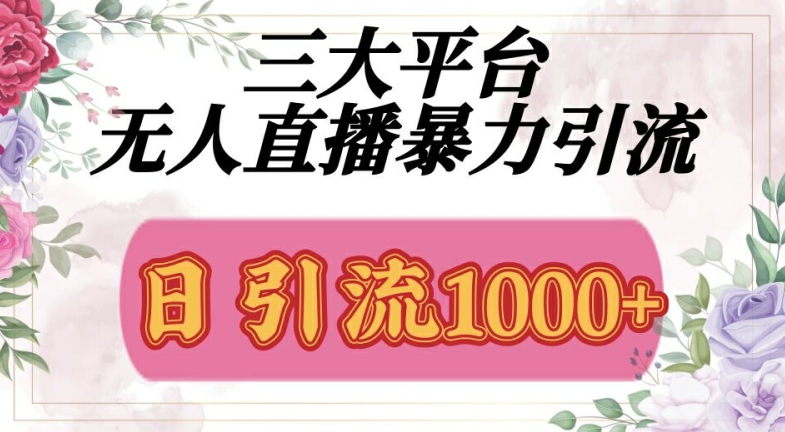 三大平台无人直播引流，吸引精准创业粉-赚钱网