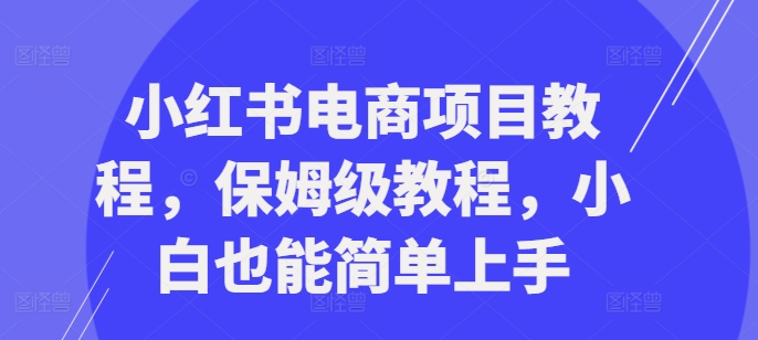 小红书电商项目教程，保姆级教程，小白也能简单上手-赚钱网