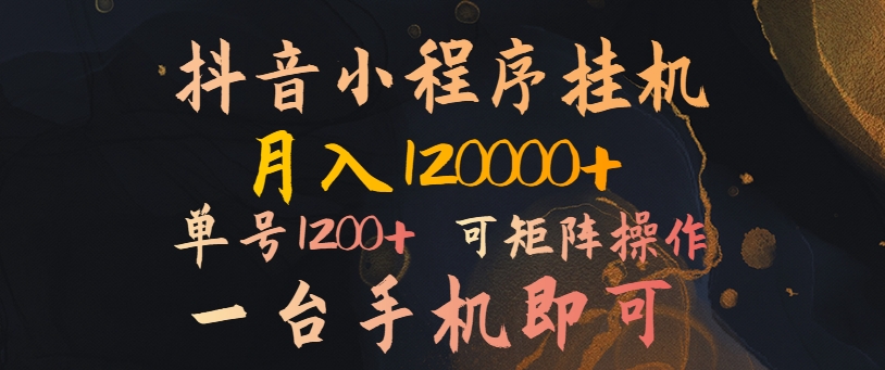 抖音小程序挂机风口项目，月入1.2w，一台手机即可操作，可矩阵操作-赚钱网