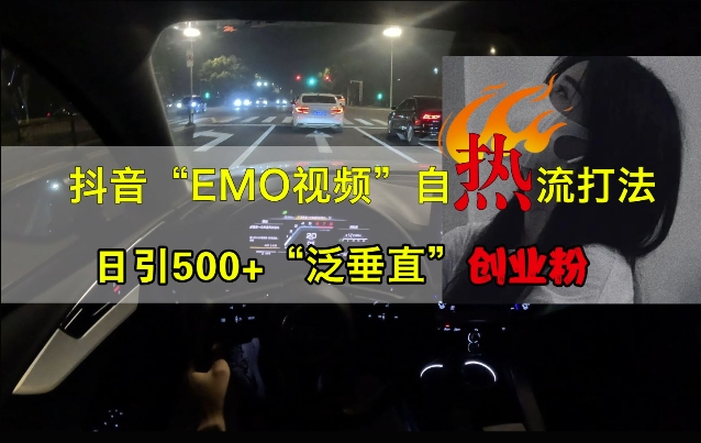 抖音EMO视频自热打法，日引500+“泛垂直”创业粉-赚钱网
