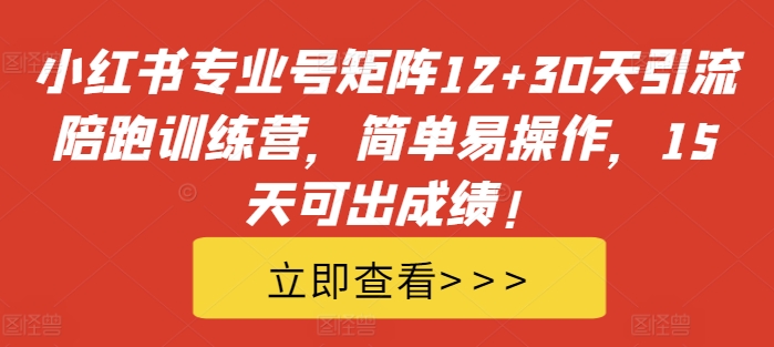 小红书专业号矩阵12+30天引流陪跑训练营，简单易操作，15天可出成绩!-赚钱网