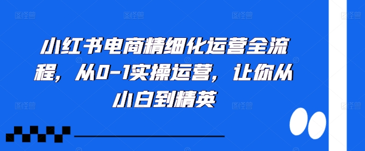 小红书电商精细化运营全流程，从0-1实操运营，让你从小白到精英-赚钱网