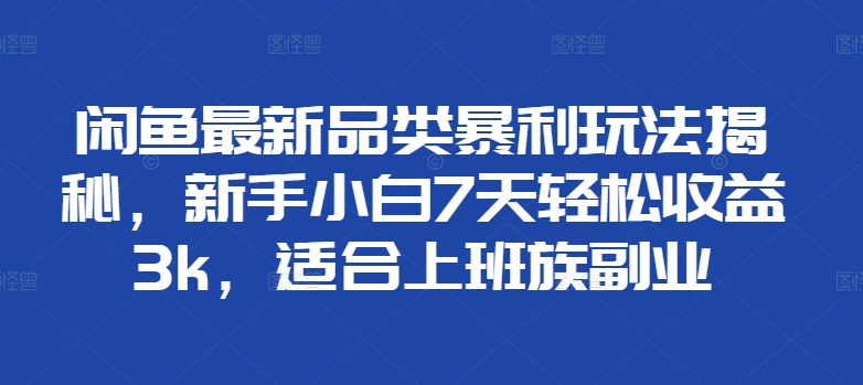 闲鱼最新品类暴利玩法揭秘，新手小白7天轻松收益3k，适合上班族副业-赚钱网