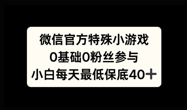微信官方特定小游戏，0基础0粉丝，小白上手每天最少保底40+-赚钱网