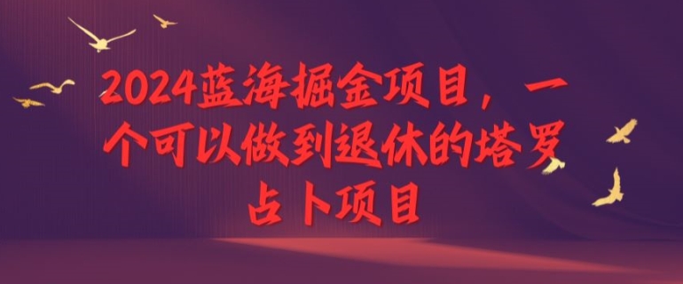 2024蓝海掘金项目，一个可以做到退休的塔罗占卜项目-赚钱网