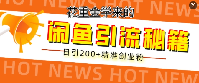 花重金学来的闲鱼到流秘籍，日引200+精准创业粉-赚钱网