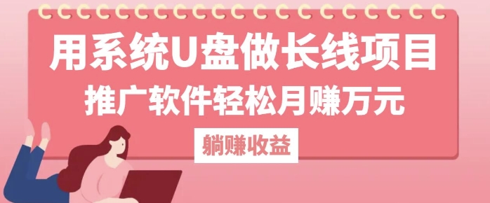 用系统U盘做长线项目，推广软件轻松月入过W-赚钱网