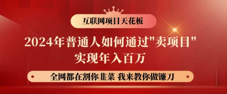 2024年普通人如何通过”卖项目”实现年入百万-赚钱网