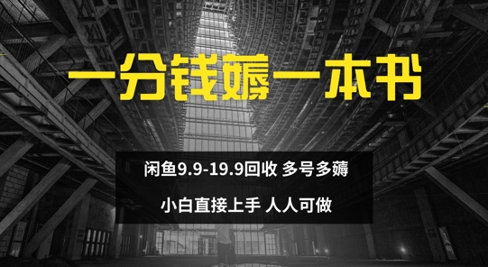 一分钱薅一本书 闲鱼1.9-11.9回收 多号多薅 小白直接上手-赚钱网