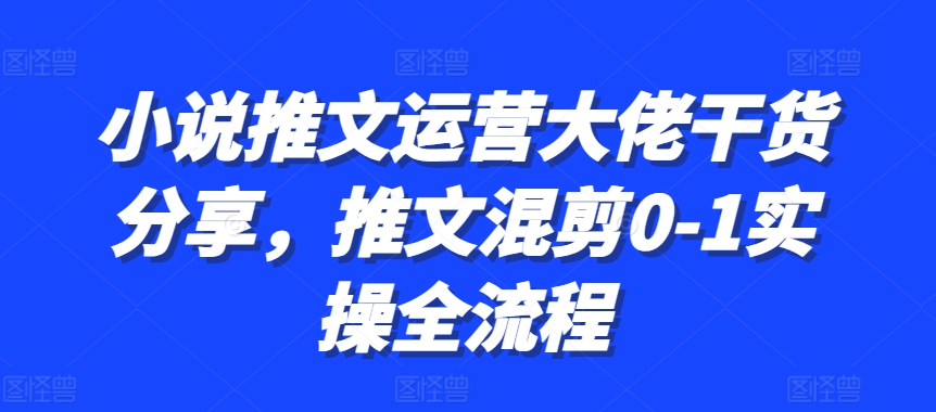 小说推文运营大佬干货分享，推文混剪0-1实操全流程-赚钱网
