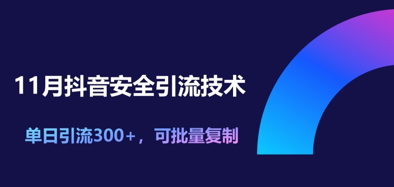 11月抖音安全引流技术，单日引流300+，可批量复制-赚钱网