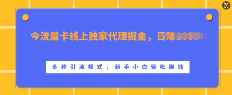 流量卡线上独家代理掘金，日入1k+ ，多种引流模式，新手小白轻松上手【揭秘】-赚钱网