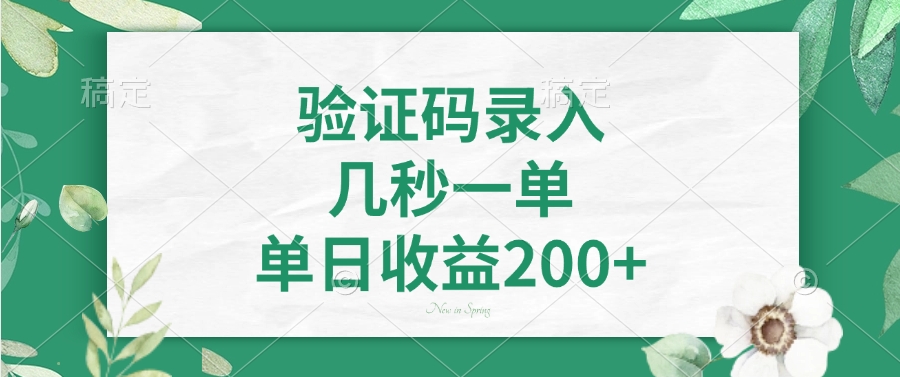 （14221期）验证码录入，几秒一单，单日收益200+-赚钱网