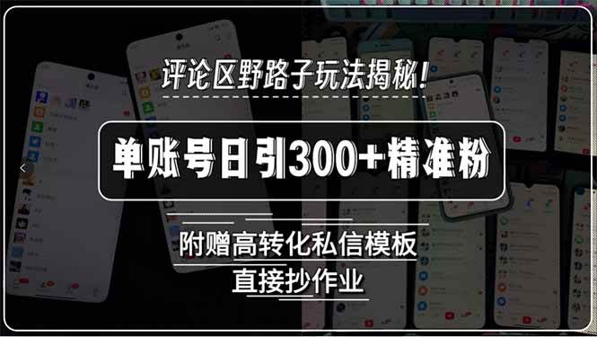 （15466期）评论区野路子玩法揭秘！单账号日引300+精准粉，附赠高转化私信模板，直…-赚钱网