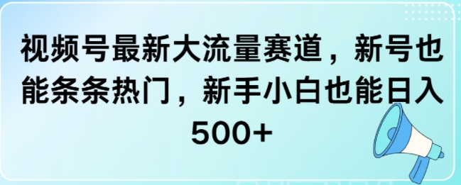 视频号最新大流量赛道，新号也能条条热门，新手小白也能日入5张-赚钱网