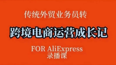 跨境电商速卖通运营课，​运营方法论+后台实操，逻辑清晰-赚钱网