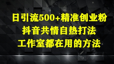 日引流500+精准创业粉，抖音共情自热打法，工作室都在用的方法-赚钱网