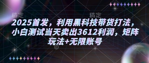 2025首发，利用黑科技带货打法，小白测试当天卖出3612利润，矩阵玩法+无限账号【揭秘】-赚钱网