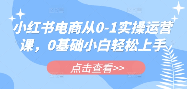 小红书电商从0-1实操运营课，0基础小白轻松上手-赚钱网
