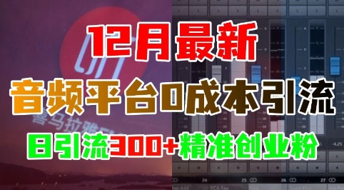 12月最新：音频平台0成本引流，日引流300+精准创业粉-赚钱网