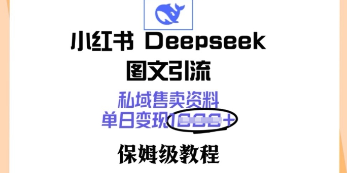 小红书Deepseek图文引流，私域售卖资料，单日变现多张，保姆级教程-赚钱网