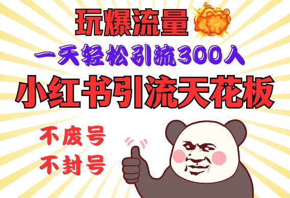 小红书引流天花板，玩爆流量，一天轻松引流300人，安全操作-赚钱网