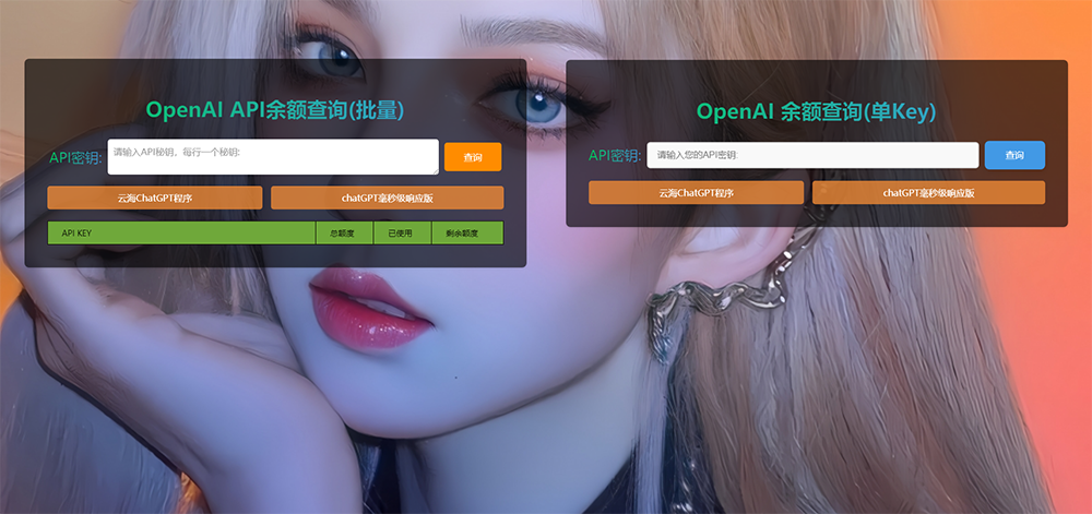 ChatGPT在线查询余额小工具源码-赚钱网