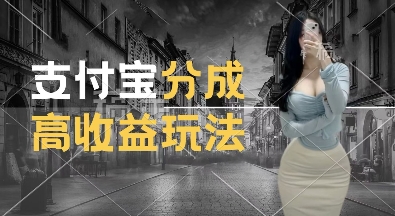 支付宝分成计划新玩法，利用交通事故视频，赚收益，轻松月入过W，操作简单【揭秘】-赚钱网