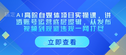 AI高阶自媒体项目实操课，讲透账号运营底层逻辑，从发布视频到规避违规一网打尽-赚钱网