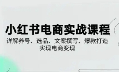 小红书从0-1实操课(2023-2025)，详解养号、选品、文案撰写、爆款打造实现电商变现-赚钱网