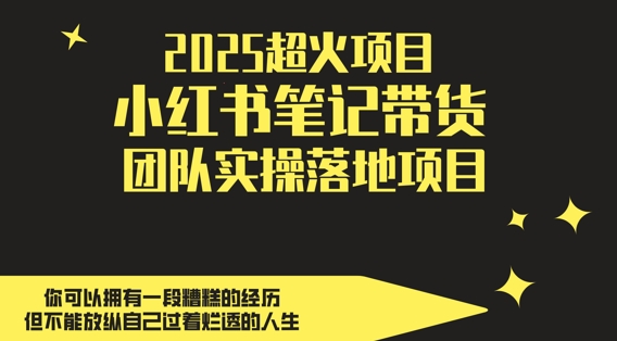 2025超火项目，副业最佳选择，小红书笔记带货团队实操落地项目，，轻松日入5张-赚钱网