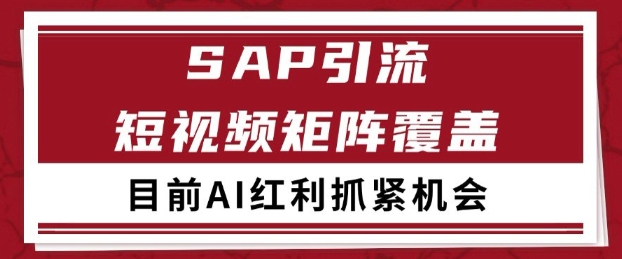 小红书某音sap赛道引流获客 自热矩阵日引200+【揭秘】-赚钱网