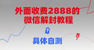 （15301期）外面收费2888的微信解封教程，具体自测-赚钱网