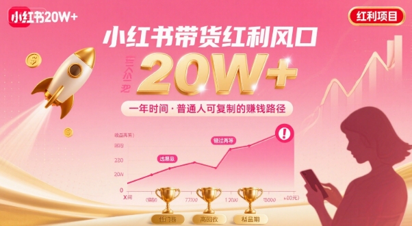 一年时间靠小红书带货项目年入20w+，最不能错的大红利项目-赚钱网