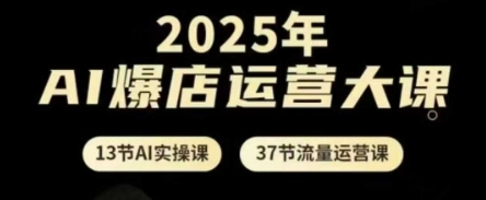 2025年AI爆店运营大课，13节AI实操课+37节流量运营课-赚钱网