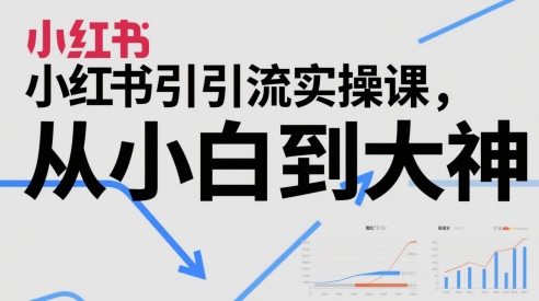 小红书引流实操课，从小白到大神-赚钱网