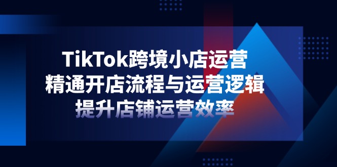 （14369期）TikTok跨境小店运营，精通开店流程与运营逻辑，提升店铺运营效率-赚钱网