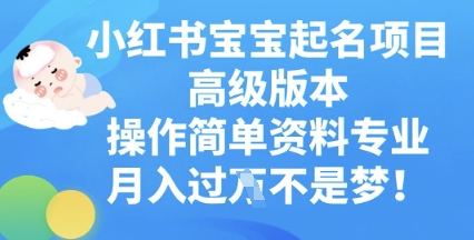 小红书宝宝起名项目高级版本，操作简单，资料专业，月入过W-赚钱网