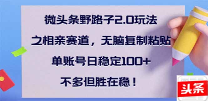 （14334期）微头条野路子2.0玩法之相亲赛道，无脑搬砖复制粘贴，单账号日稳定300+…-赚钱网