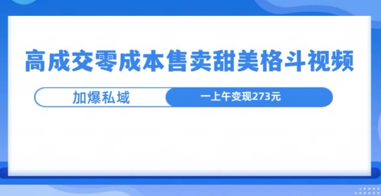高成交零成本，售卖甜妹格斗视频，可以实现日入过k-赚钱网
