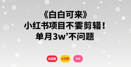 小白可来 小红书项目不需要剪辑 单月3w不是问题-赚钱网